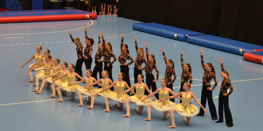 Gymnastikopvisning 2026